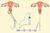 Test tube baby_tiny